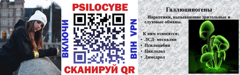Псилоцибиновые грибы Cubensis  Межгорье 